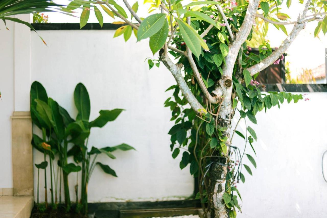 Adi Guest House Canggu Екстериор снимка