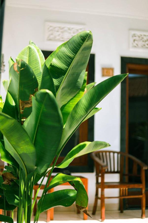 Adi Guest House Canggu Екстериор снимка