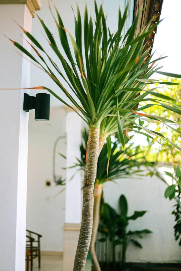 Adi Guest House Canggu Екстериор снимка