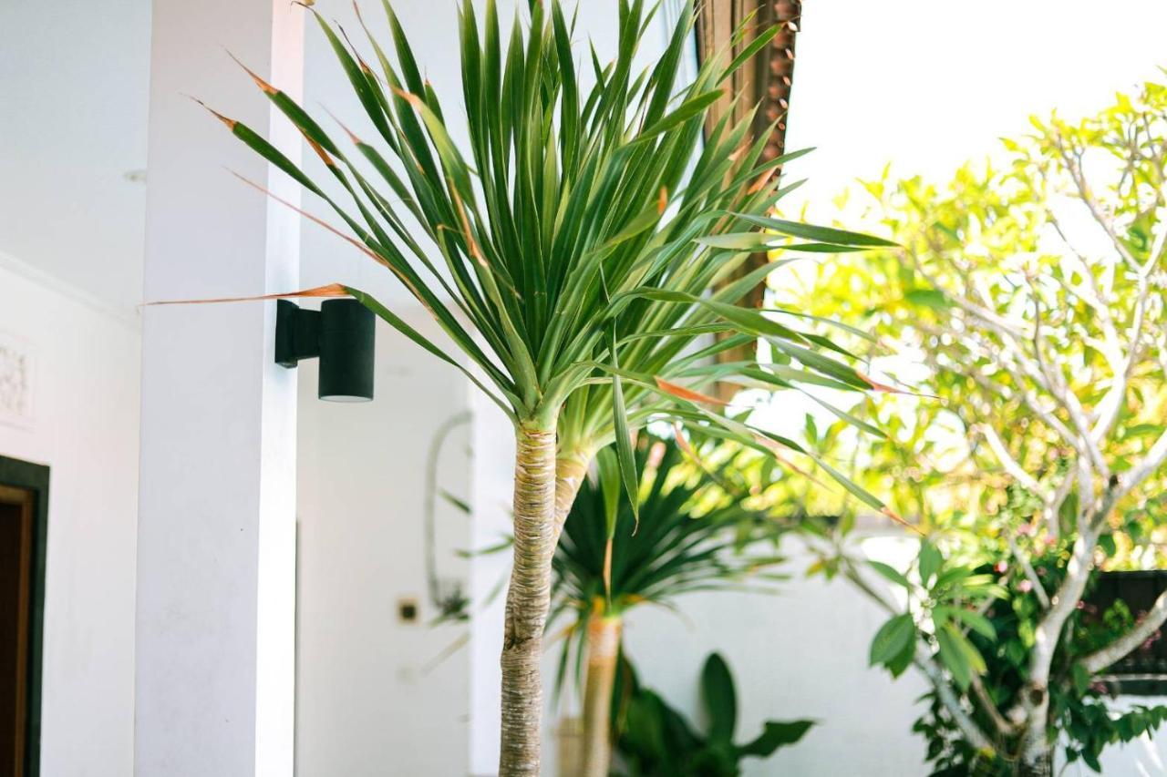 Adi Guest House Canggu Екстериор снимка
